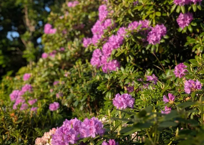 Hébergement de vacances Nordic Designer Summerhouse - With A Fantastic View Vejby