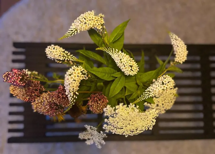 Nordic Designer Summerhouse - With A Fantastic View Vejby